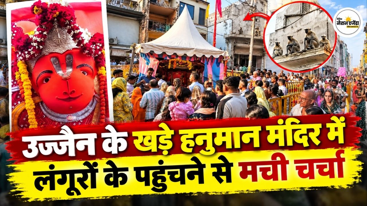उज्जैन के खड़े हनुमान मंदिर के पास अचानक पहुंचे लंगूर, 4 दिन में 8 हजार भक्त पहुंचे, Video वायरल